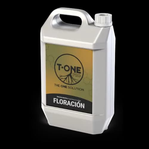 Floración