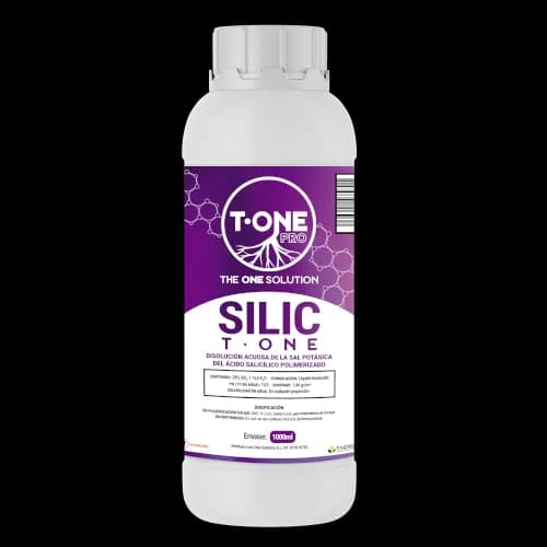 Silicio