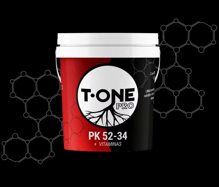 PK 52, 34 + Vitaminas